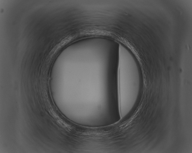 X0000087510625200704270754