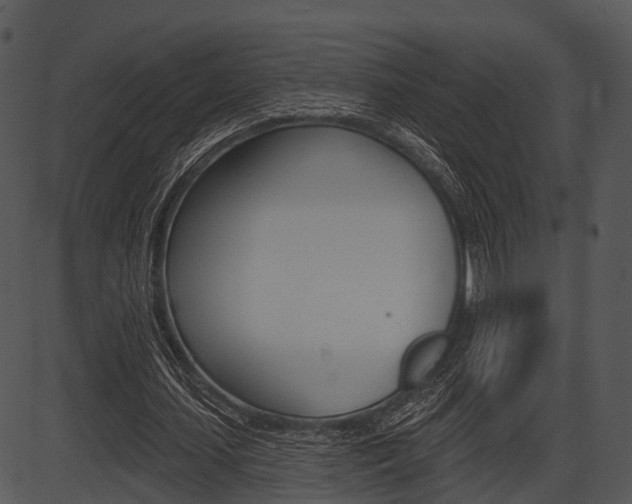 X0000087510627200704270754
