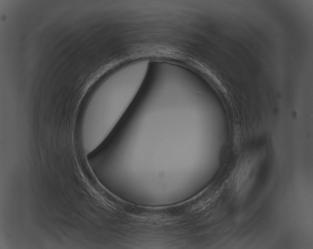 X0000087510629200704270754
