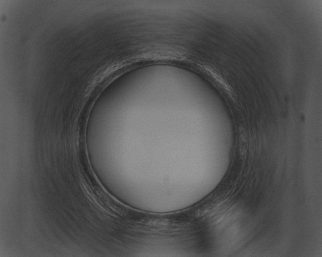 X0000087510631200704270754