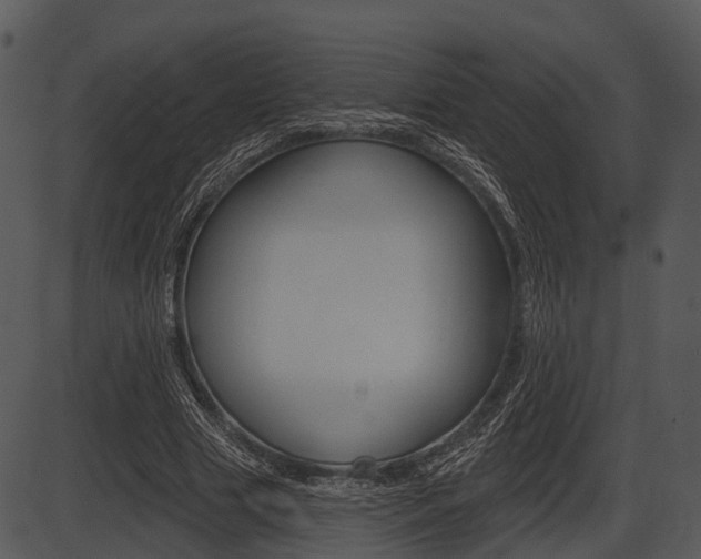 X0000087510633200704270754