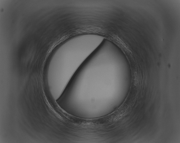X0000087510634200704270755