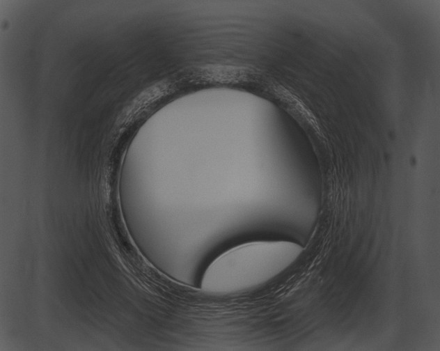 X0000087510635200704270755
