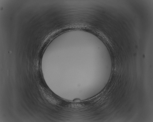 X0000087510636200704270755