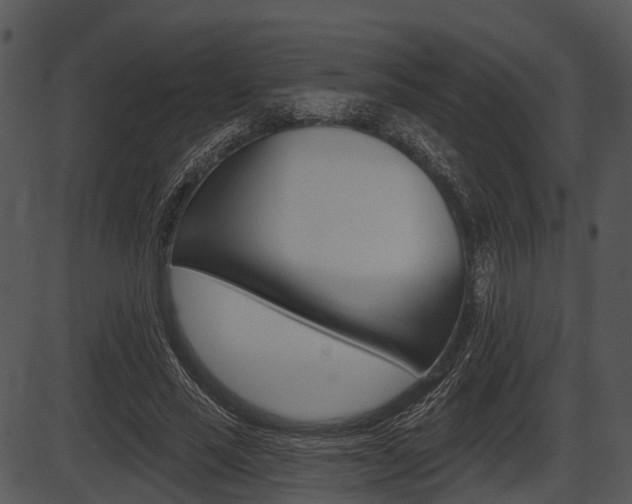 X0000087510637200704270755