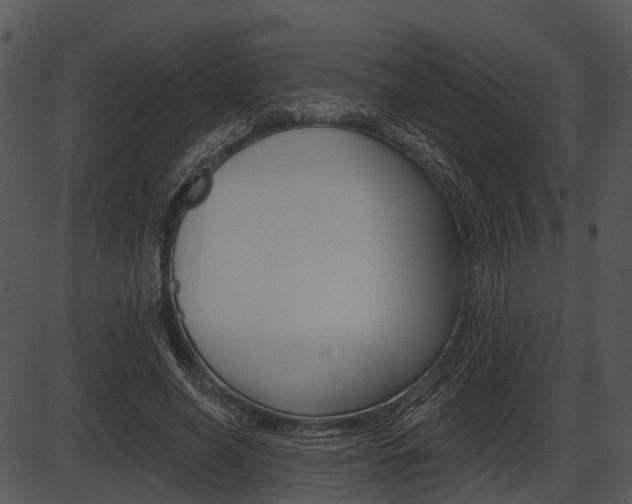 X0000087510638200704270755