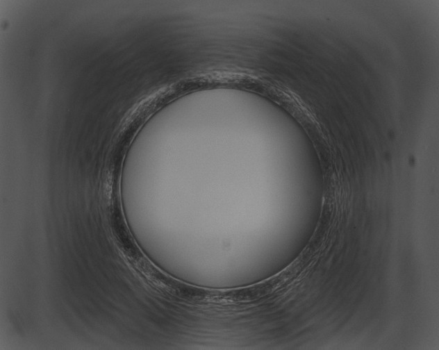 X0000087510640200704270755