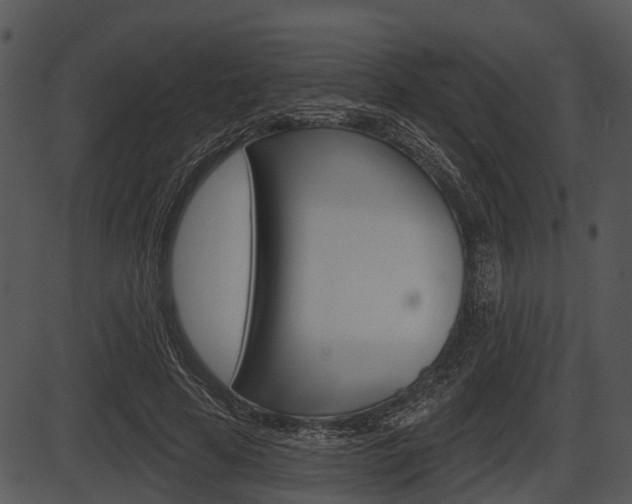 X0000087510641200704270755