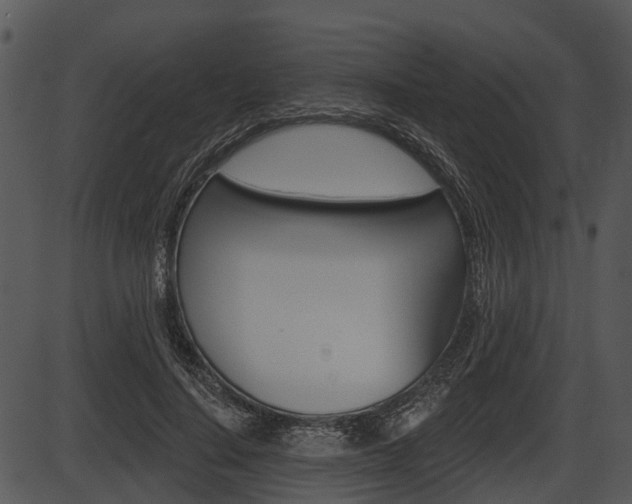 X0000087510644200704270755