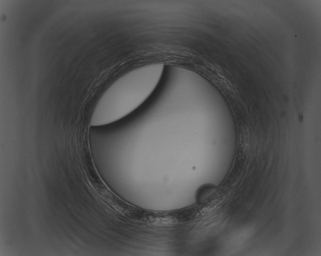 X0000087510645200704270755