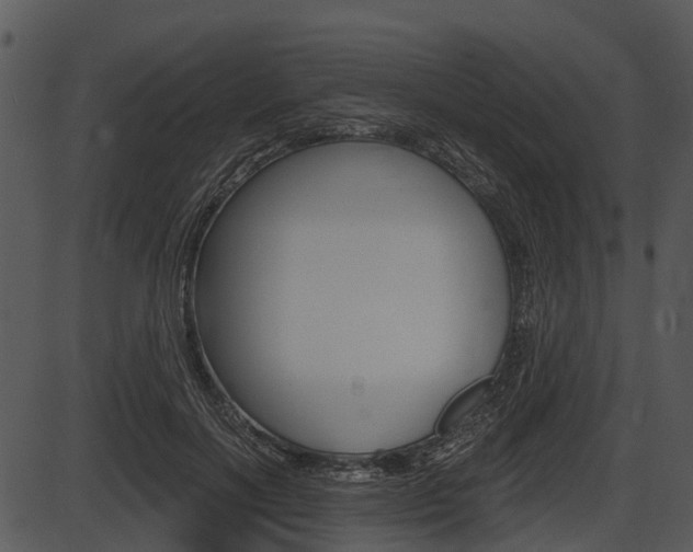 X0000087510646200704270755