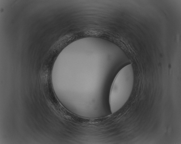 X0000087510647200704270755