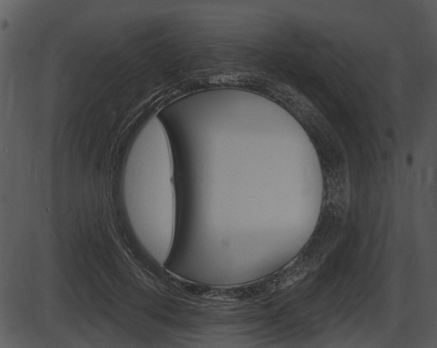 X0000087510648200704270755