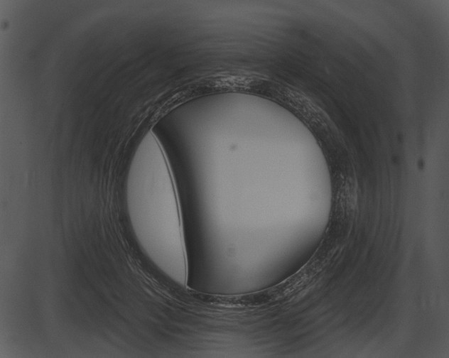 X0000087510649200704270755