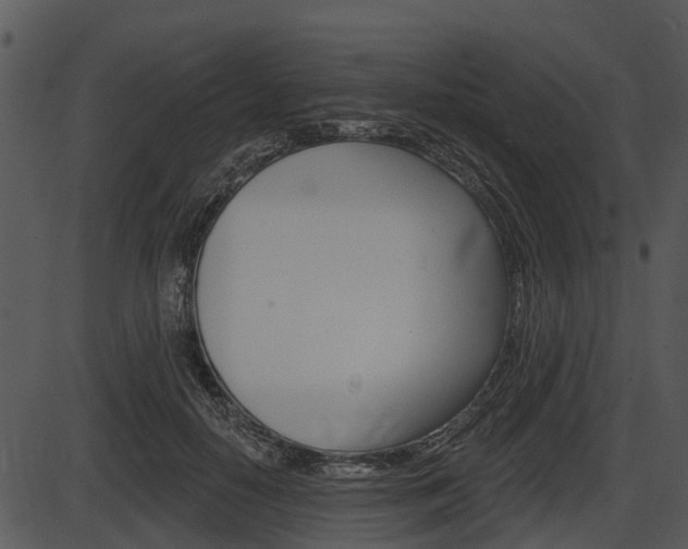 X0000087510650200704270755