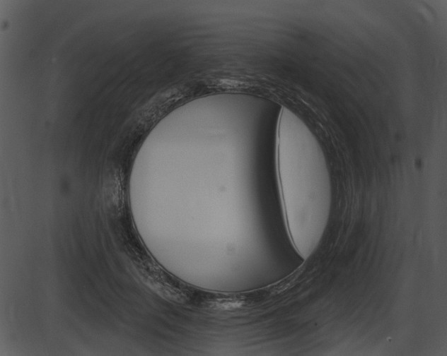 X0000087510651200704270755
