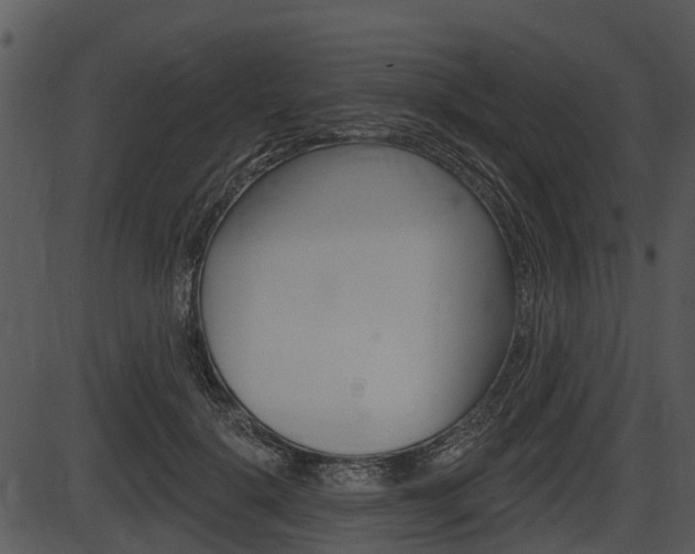 X0000087510652200704270755