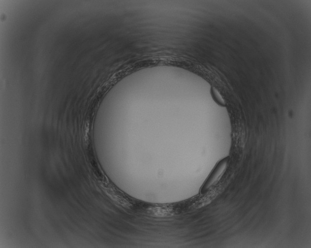 X0000087510660200704270755