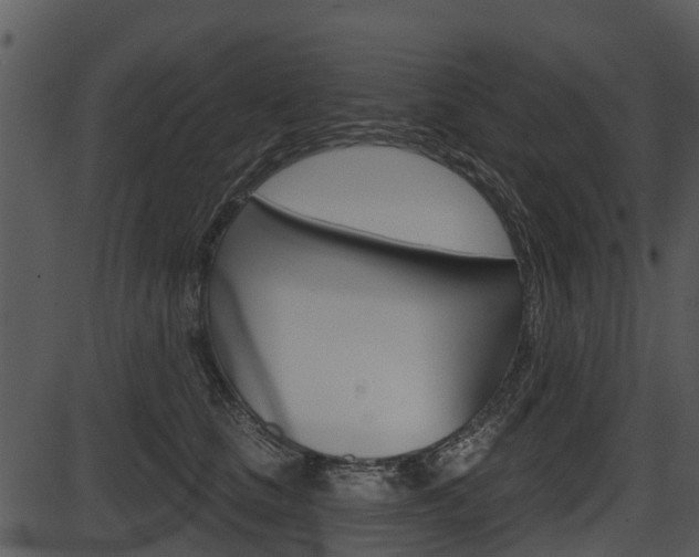 X0000087510661200704270755