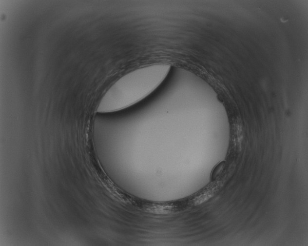 X0000087510664200704270755