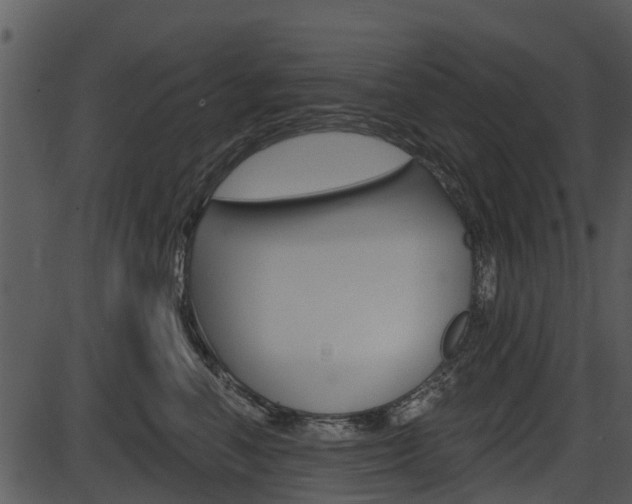 X0000087510666200704270755