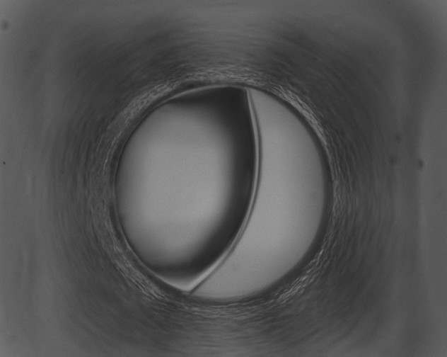 X0000087510673200704270754