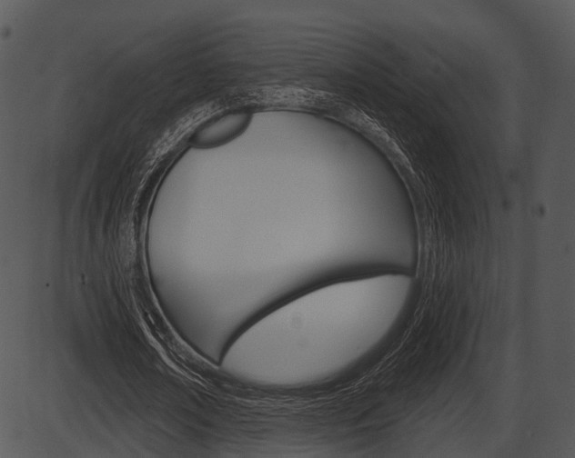 X0000087510674200704270754