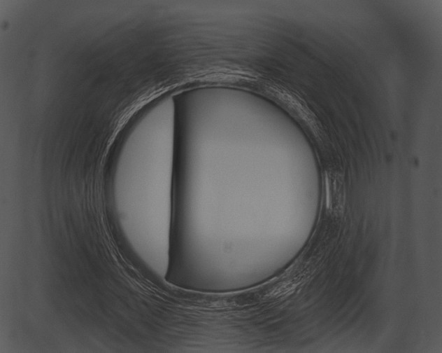 X0000087510675200704270754