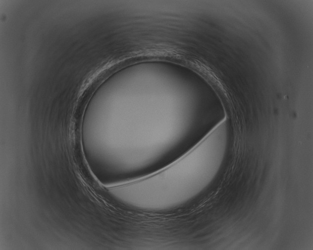 X0000087510676200704270754