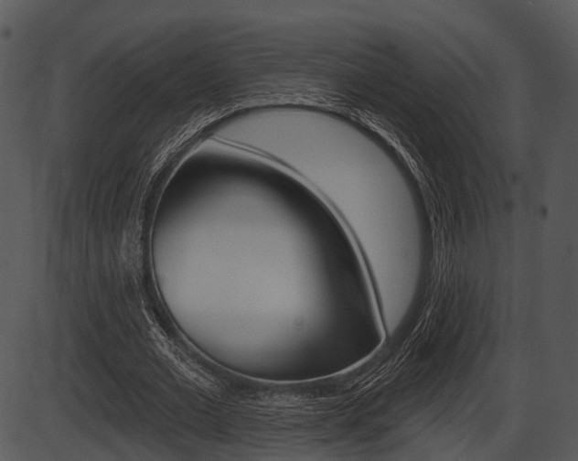 X0000087510677200704270754