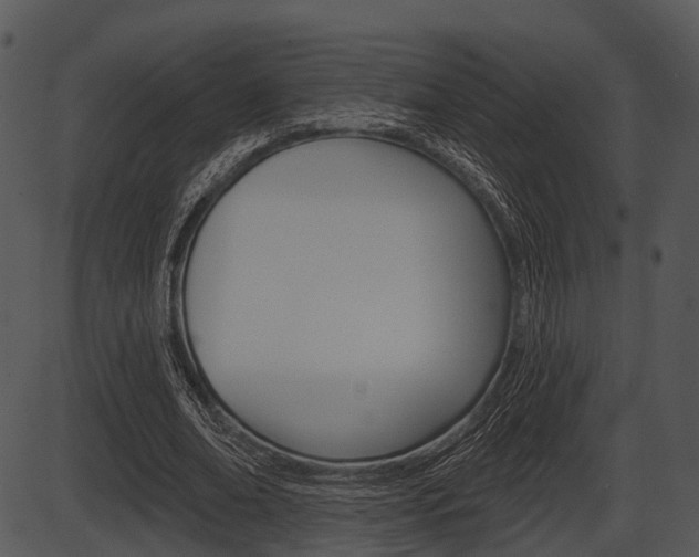 X0000087510678200704270754