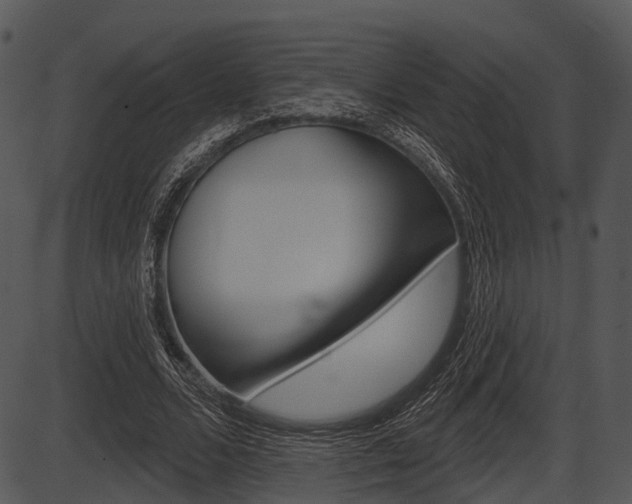X0000087510680200704270754