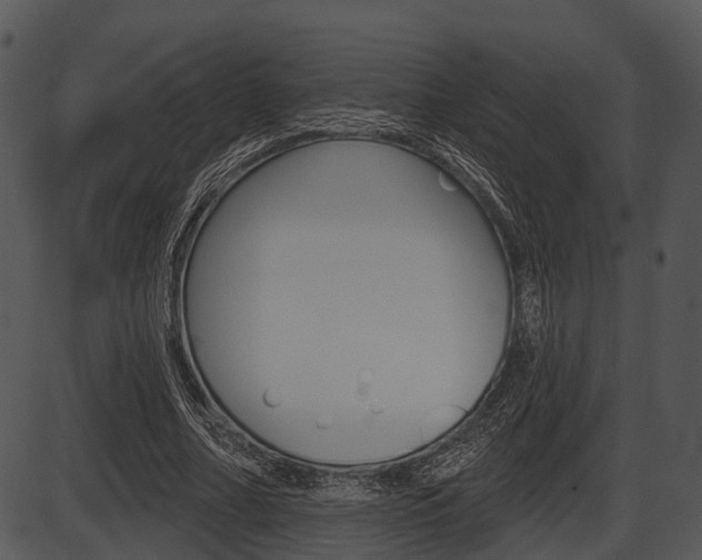 X0000087510682200704270754