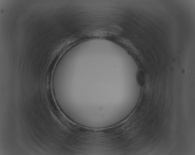 X0000087510683200704270754
