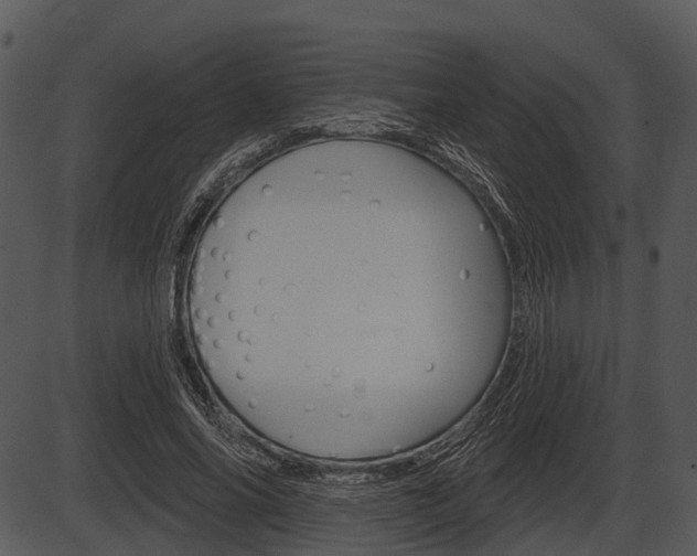 X0000087510686200704270754