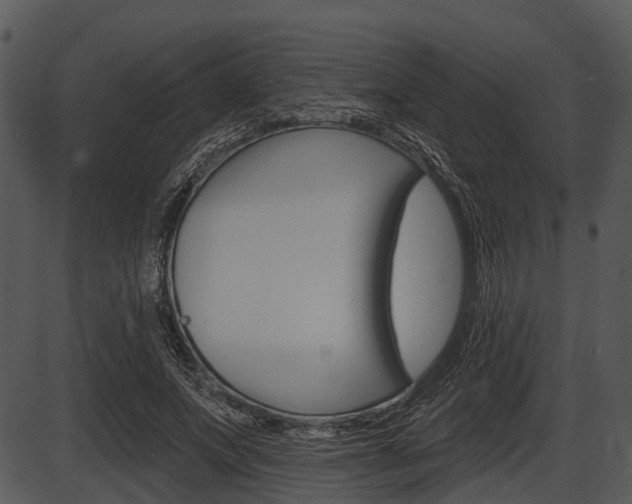 X0000087510687200704270754