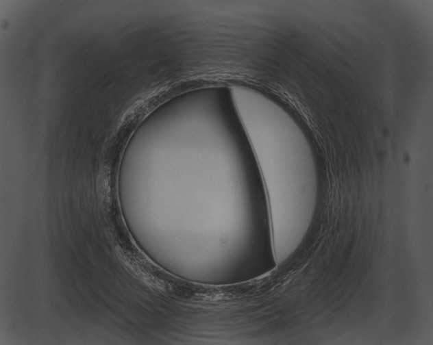 X0000087510688200704270754