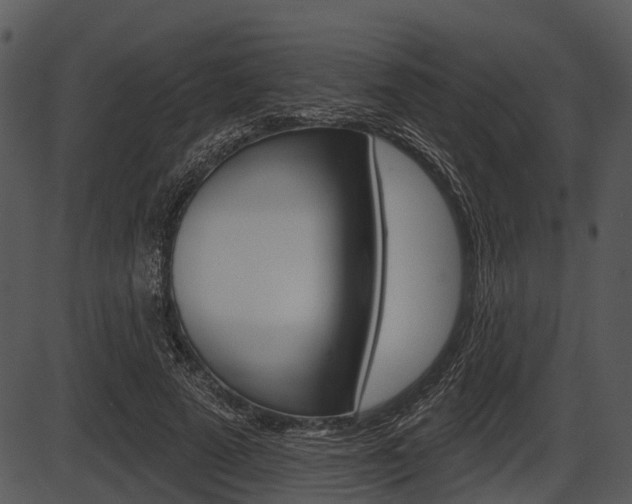 X0000087510689200704270754