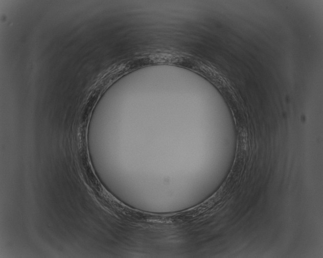 X0000087510690200704270754