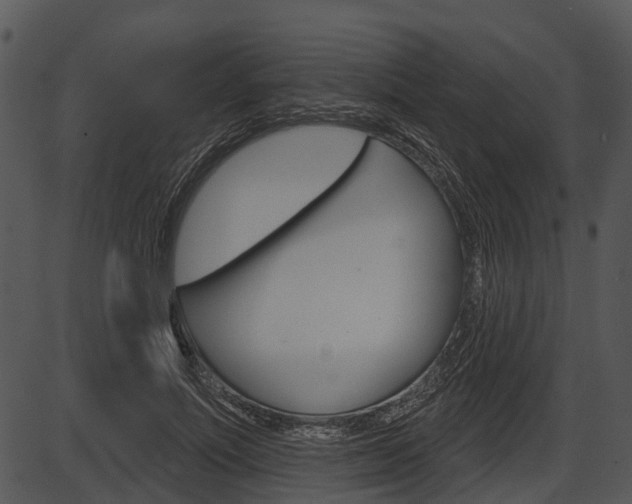 X0000087510691200704270754