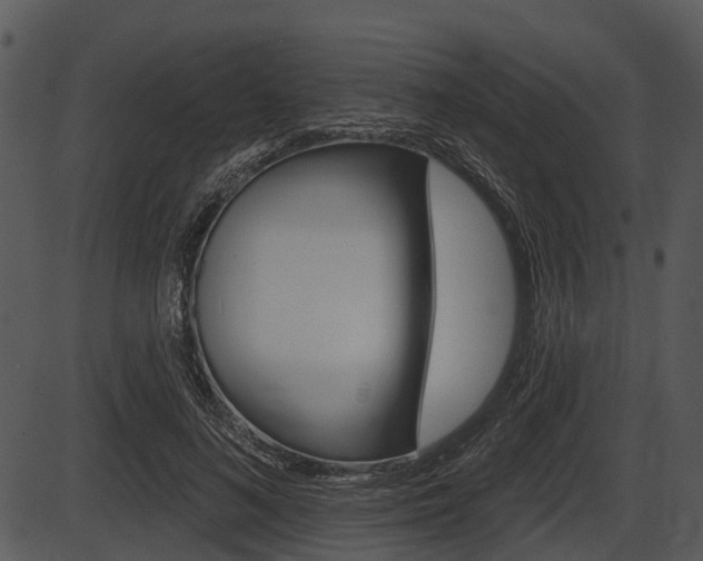 X0000087510692200704270754