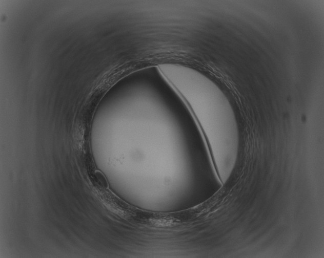 X0000087510693200704270754