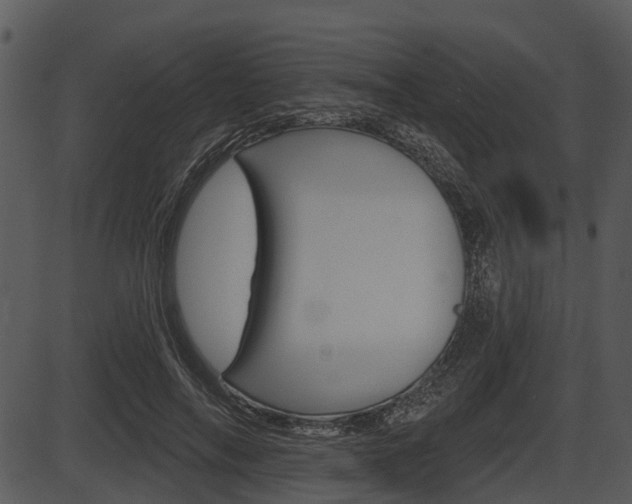 X0000087510694200704270754
