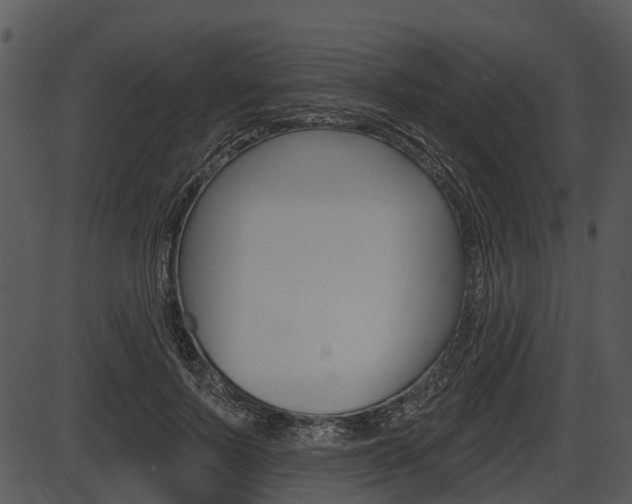 X0000087510695200704270754