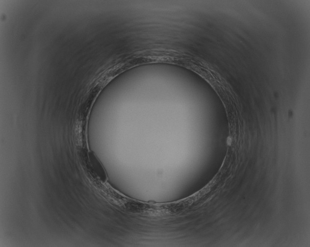 X0000087510696200704270754