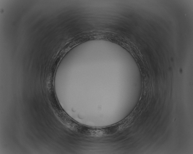 X0000087510698200704270754