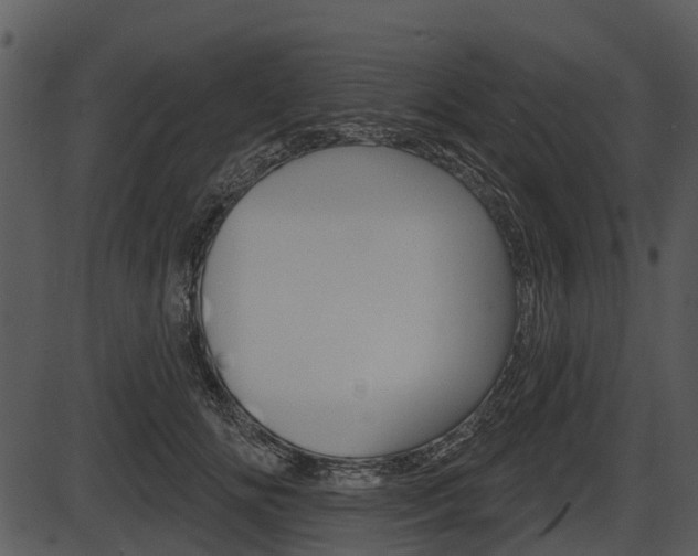 X0000087510702200704270754