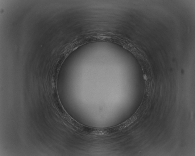X0000087510704200704270754