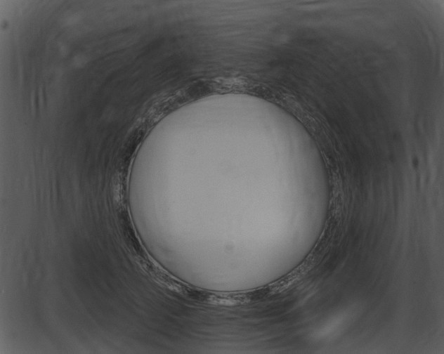 X0000087510706200704270754