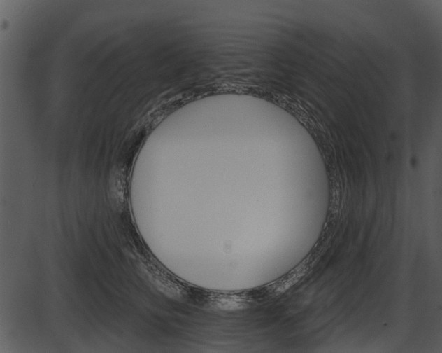 X0000087510710200704270754